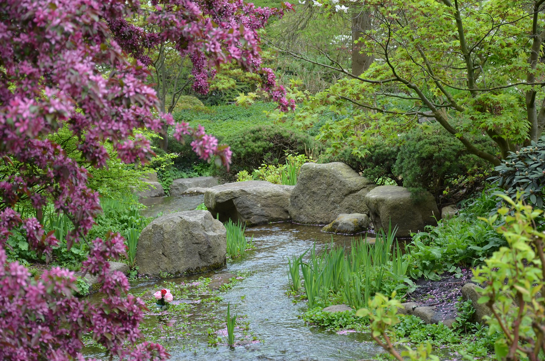 Plätscherndes Wasser im japanischen Garten schafft eine entspannte Atmosphäre